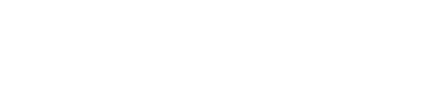 The Service to Stability Project: veteran transitional living and support
